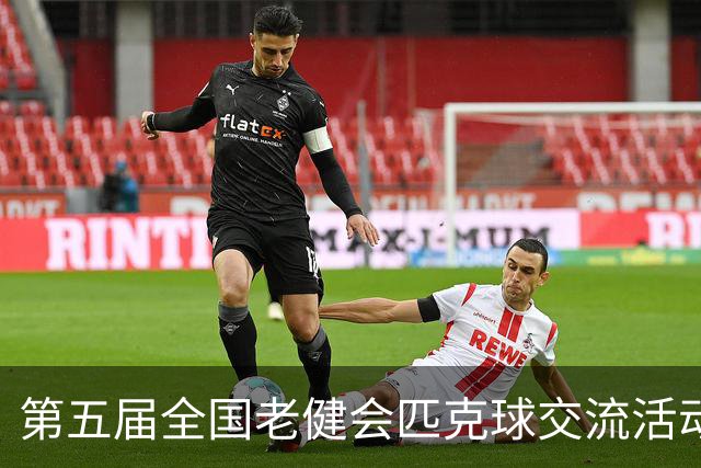 第五届全国老健会匹克球交流活动长沙启幕 全国32支代表队以球会友